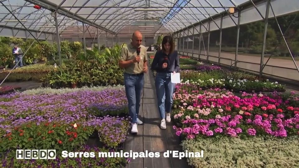 L'Hebdo : Aux serres municipales d'Epinal