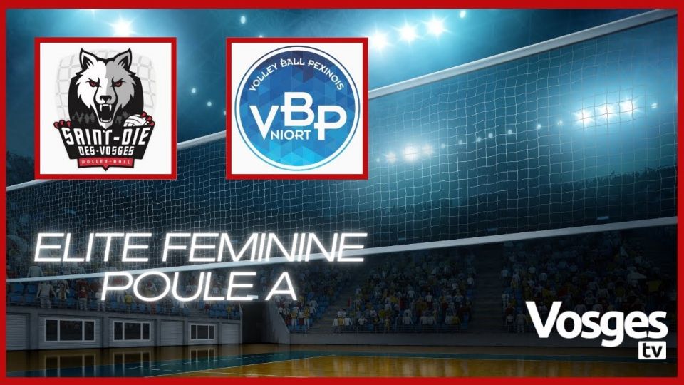 Retransmission des Louves X Volley Ball Pexinois Niort