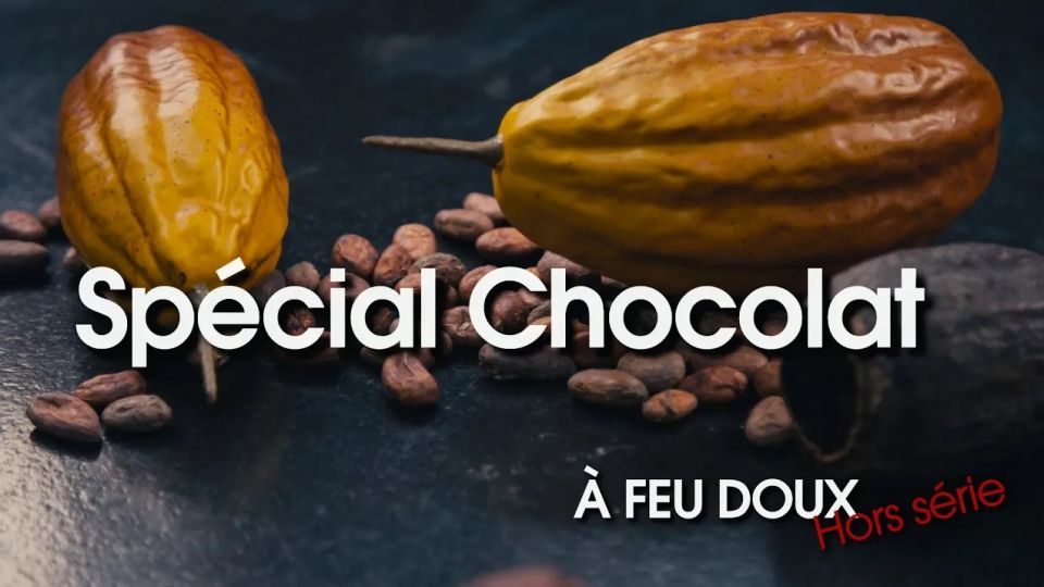 Hors série : de la fève au chocolat