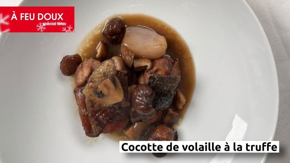 A feu doux : Mimi Cuisine 4 : Cocotte de volaille à la truffe