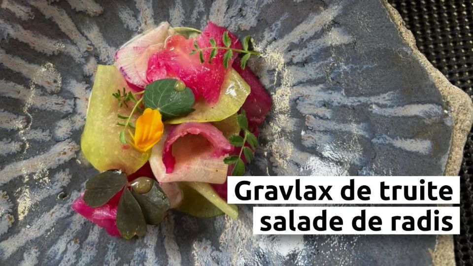 A feu doux : Les Roses #02 Gravlax de truite, salade de radis