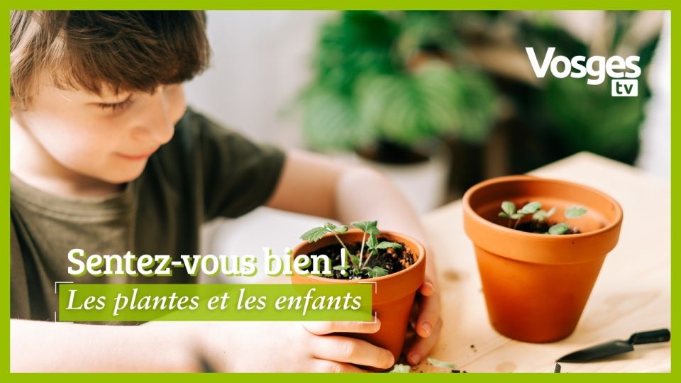 Sentez-vous bien !  Les plantes et les enfants