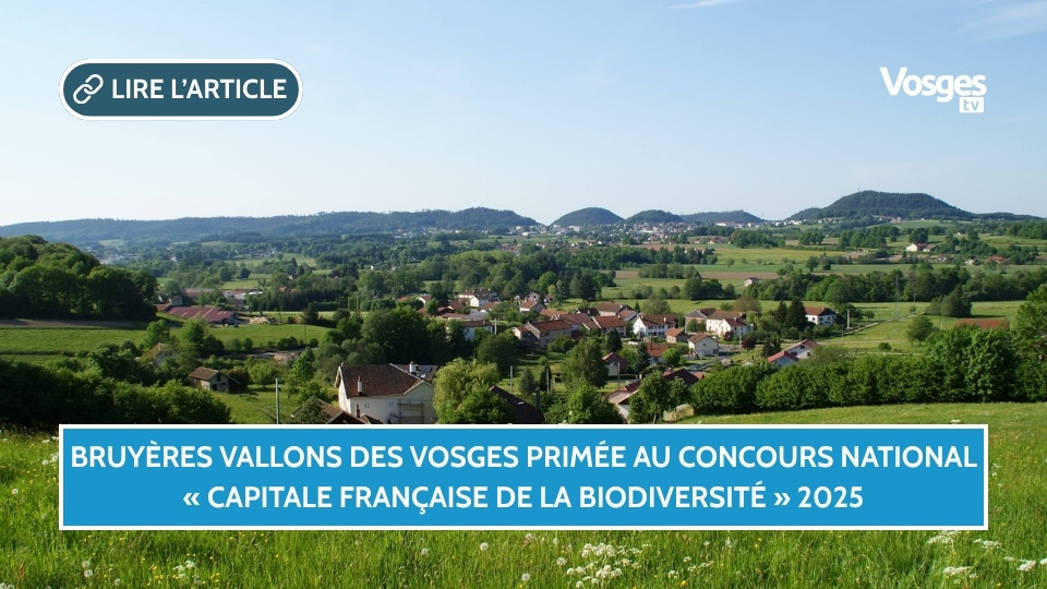 Bruyères Vallons des Vosges primée au concours national « Capitale française de la biodiversité » 2025