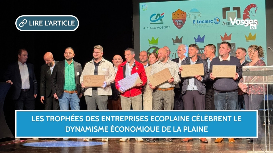 Les Trophées des Entreprises EcoPlaine célèbrent le dynamisme économique de la Plaine