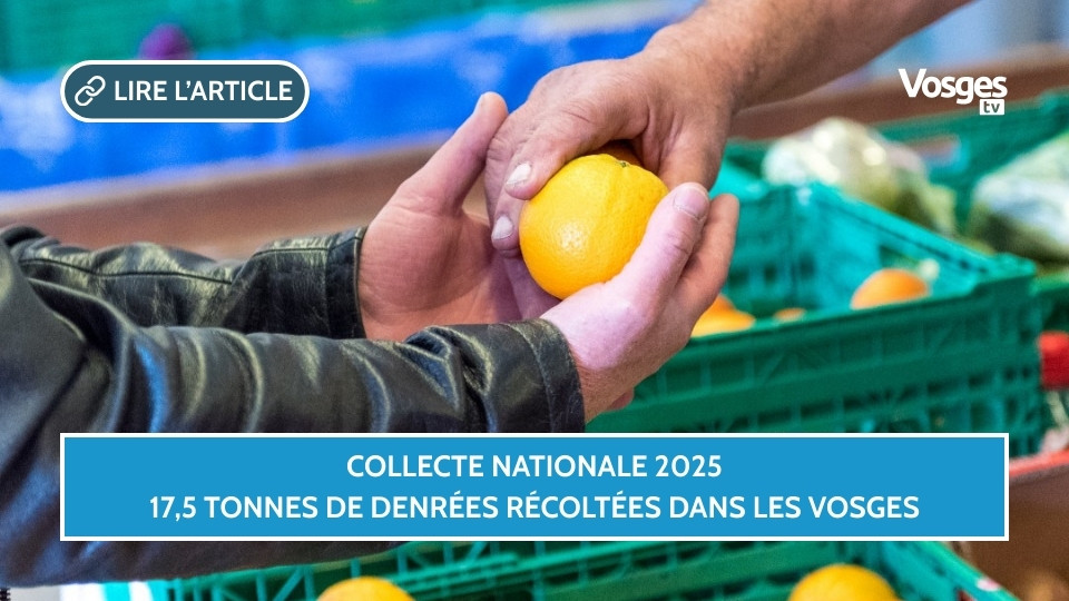 Collecte Nationale 2025 : 17,5 tonnes de denrées récoltées dans les Vosges