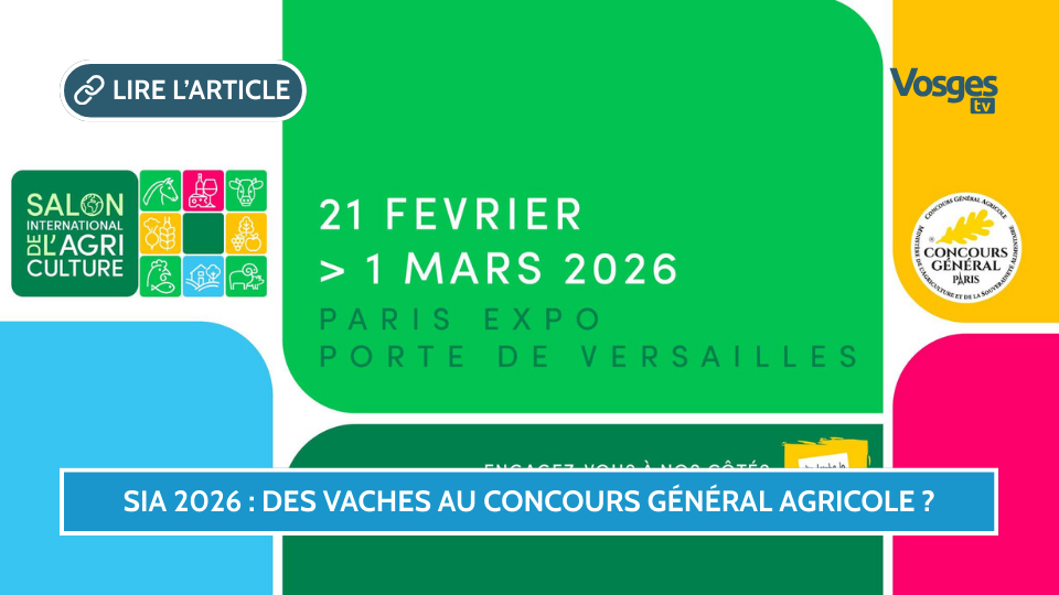 Salon International de l'Agriculture 2026 : les races bovines absentes ?