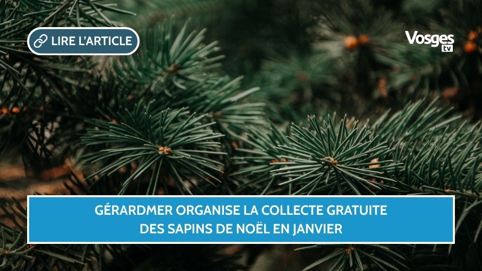 Gérardmer organise la collecte gratuite des sapins de Noël en janvier