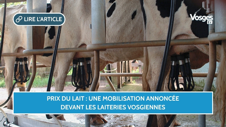 Prix du lait : une mobilisation annoncée devant les laiteries vosgiennes