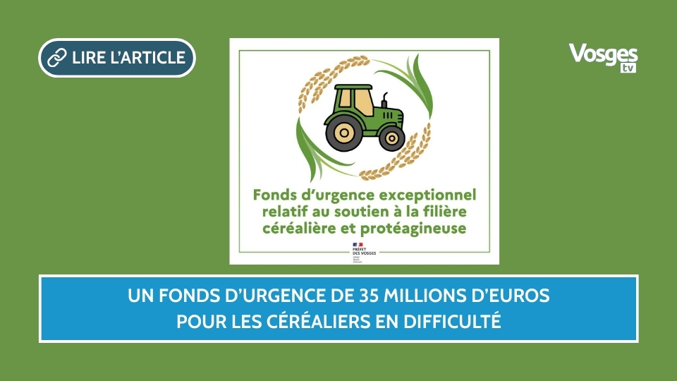 Un fonds d’urgence de 35 millions d’euros pour les céréaliers en difficulté