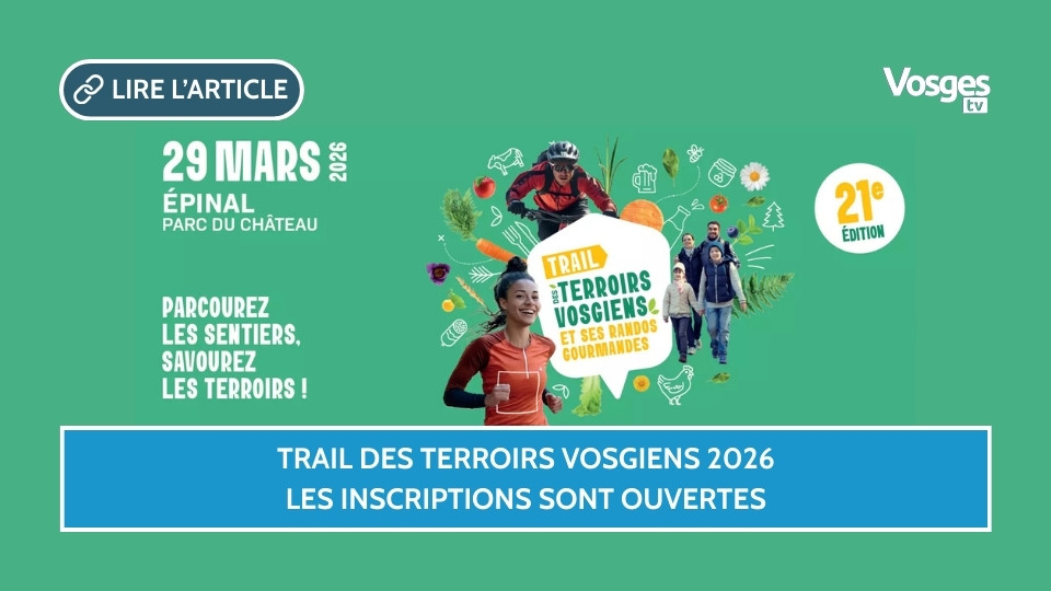 Trail des Terroirs Vosgiens 2026 : les inscriptions sont ouvertes