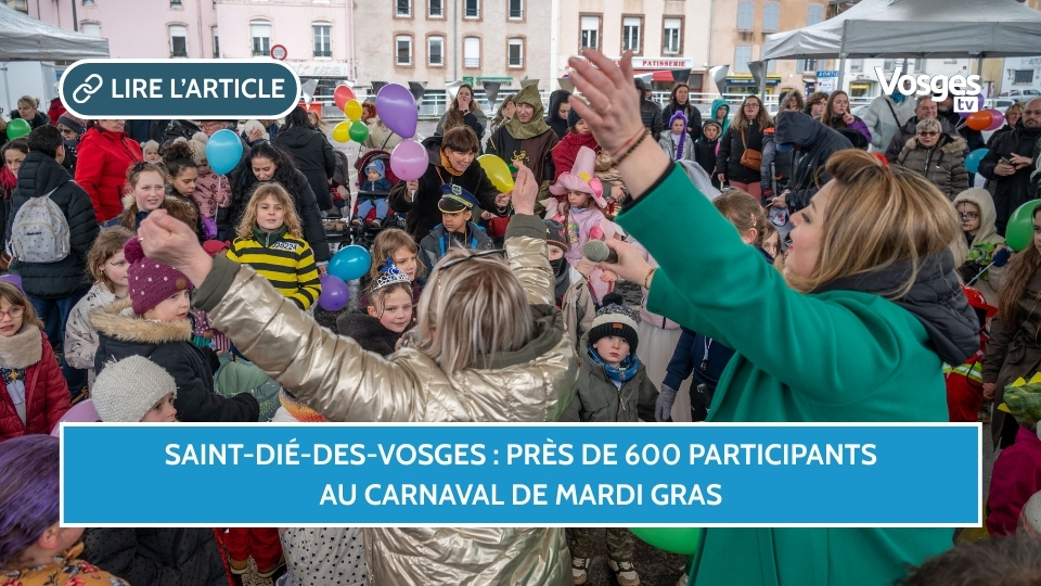 Saint-Dié-des-Vosges : près de 600 participants au Carnaval de Mardi gras