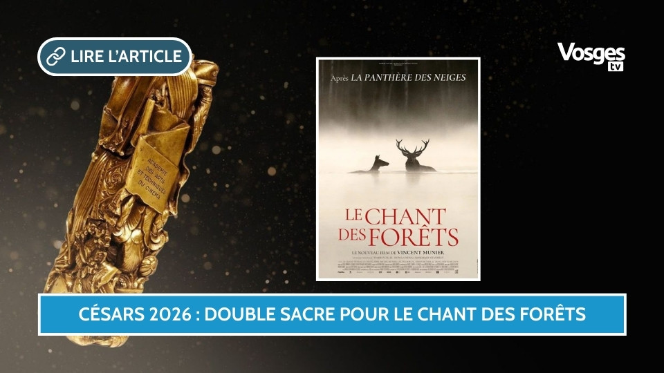 Césars 2026 : double sacre pour Le Chant des Forêts
