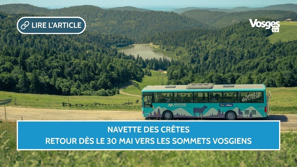 Navette des Crêtes : retour dès le 30 mai vers les sommets vosgiens