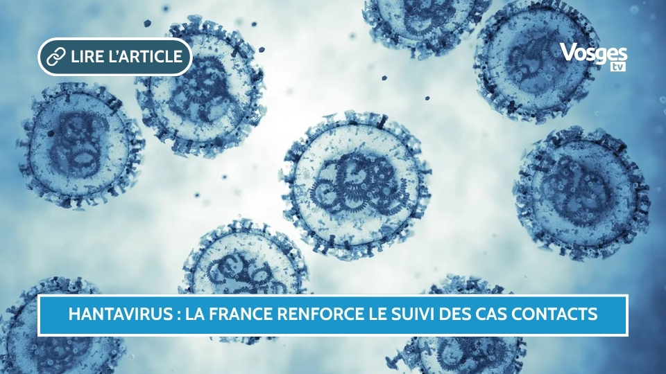 Hantavirus : la France renforce le suivi des cas contacts