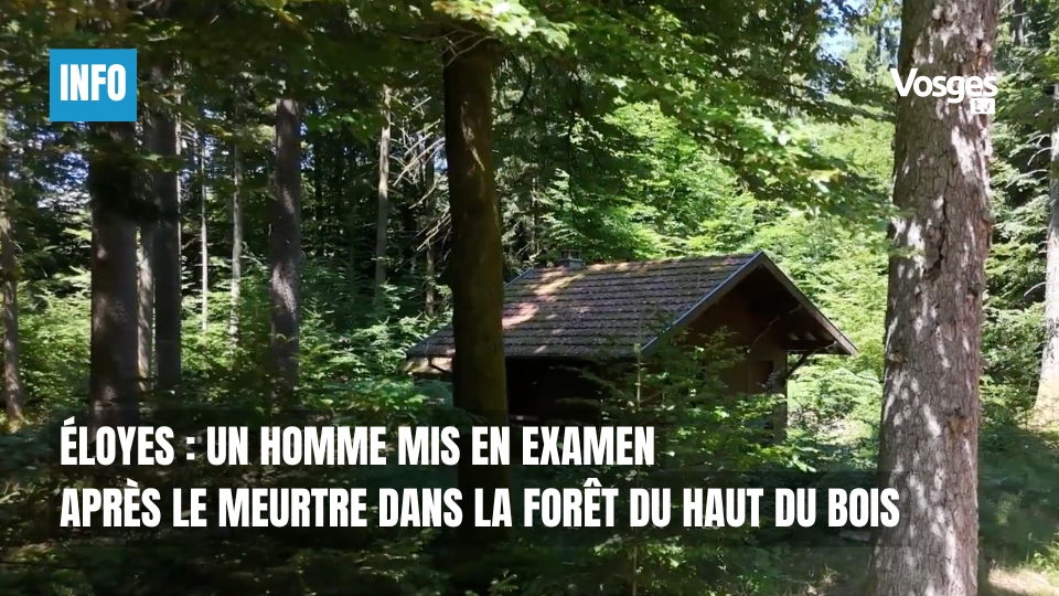 Éloyes : un homme mis en examen après le meurtre dans la forêt du Haut du Bois