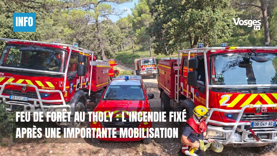 Feu de forêt au Tholy : l’incendie fixé après une importante mobilisation