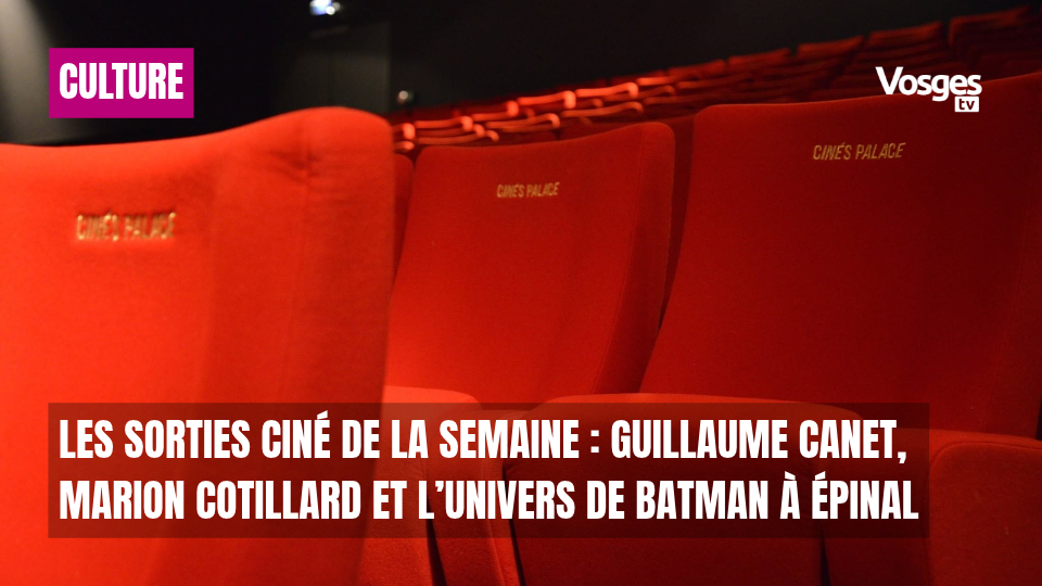 Les sorties ciné de la semaine : Guillaume Canet, Marion Cotillard et l’univers de Batman à Épinal