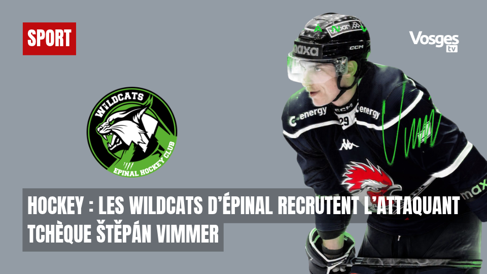 Hockey : les Wildcats d’Épinal recrutent l’attaquant tchèque Štepán Vimmer