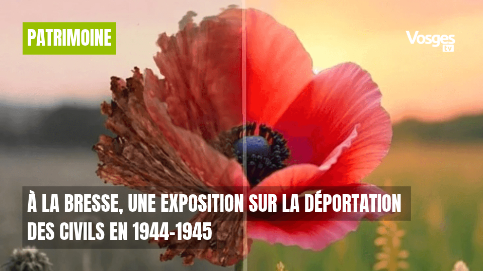 À La Bresse, une exposition sur la déportation des civils en 1944-1945